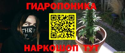 бошки Заводоуковск