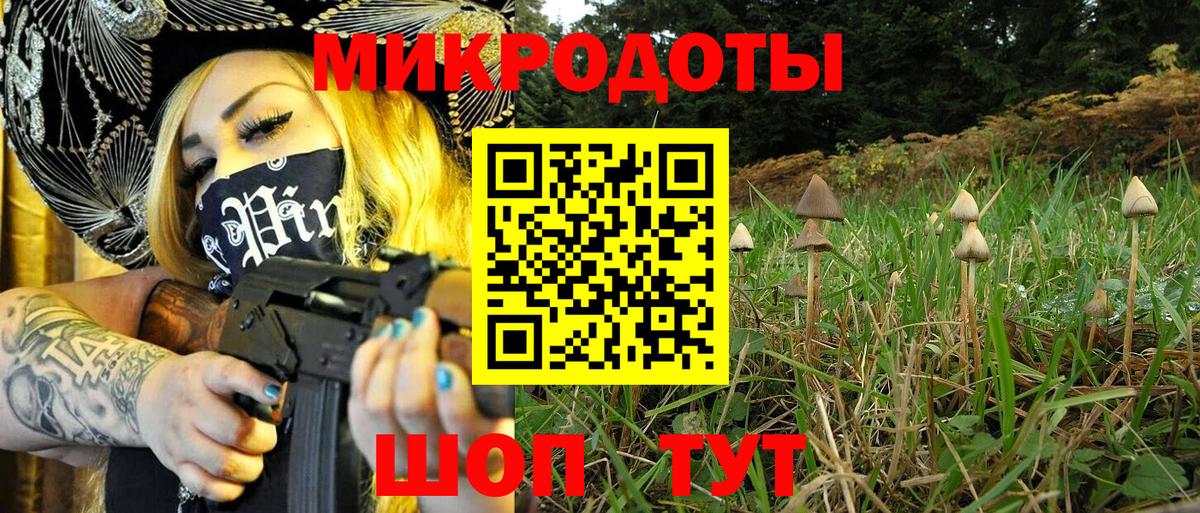 Галлюциногенные грибы Cubensis Менделеевск